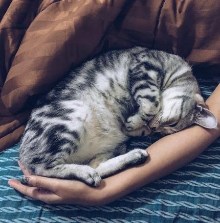 pexels-sornbhakkanut-boonprasop-1365111-2646483 (1) pexels-sornbhakkanut-boonprasop-1365111-2646483 (1)
